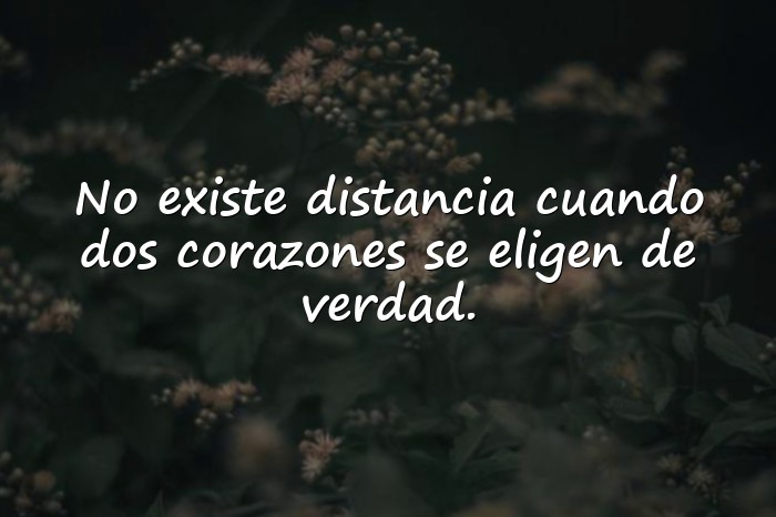 Imágenes frases san valentin - 15