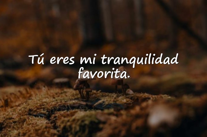 Imágenes frases san valentin - 10