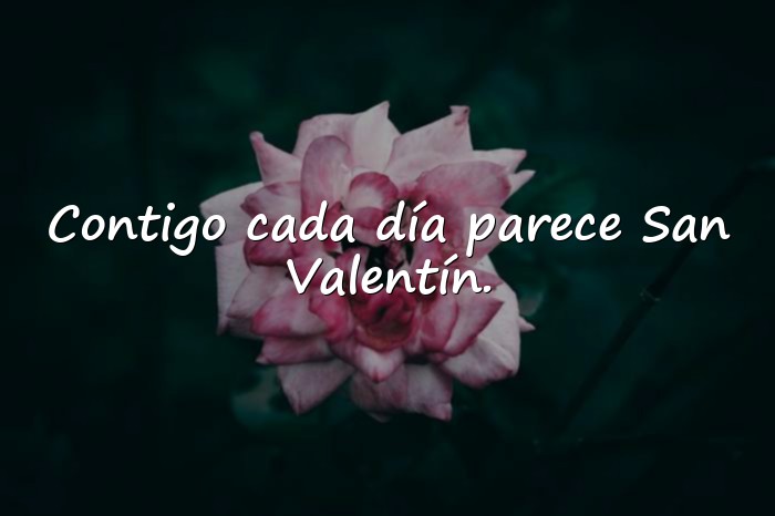 Imágenes frases san valentin - 6