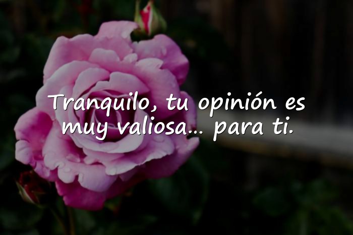 Imágenes frases sarcasticas - 21