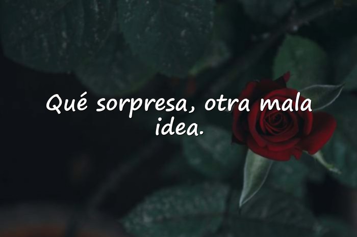 Imágenes frases sarcasticas - 16