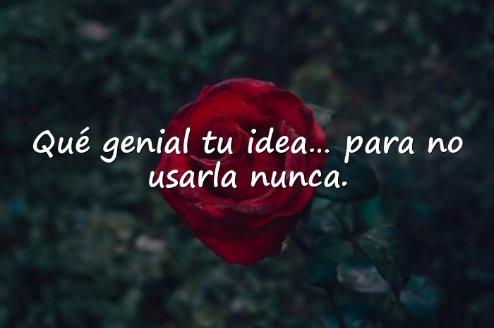 Imágenes frases sarcasticas - 11