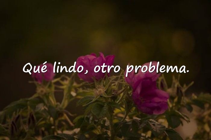 Imágenes frases sarcasticas - 6