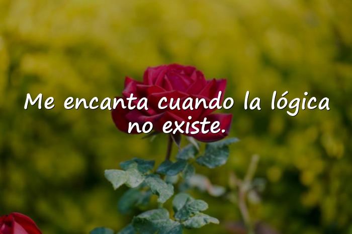 Imágenes frases sarcasticas - 1