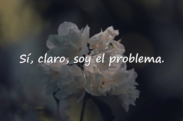 Imágenes frases sarcasticas - 21