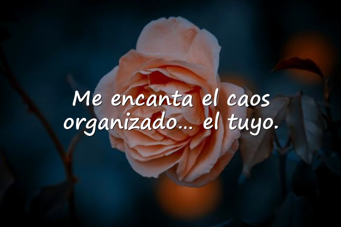 Imágenes frases sarcasticas - 6
