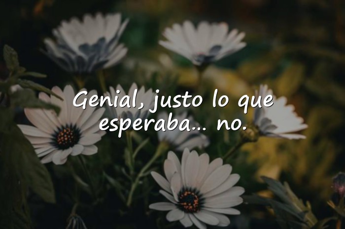 Imágenes frases sarcasticas - 1