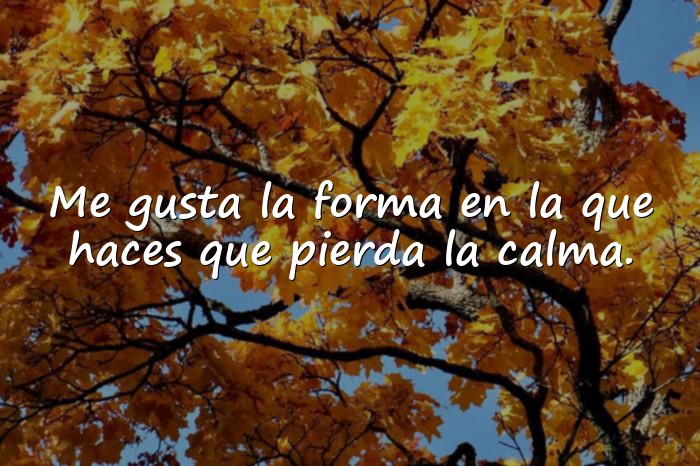 Imágenes frases seductoras - 20