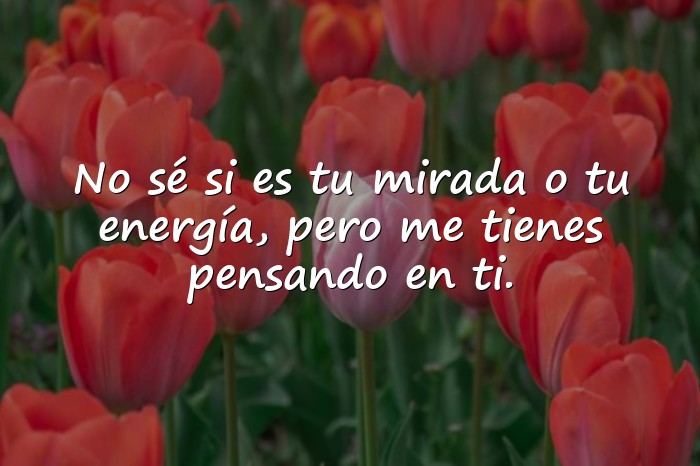 Imágenes frases seductoras - 15