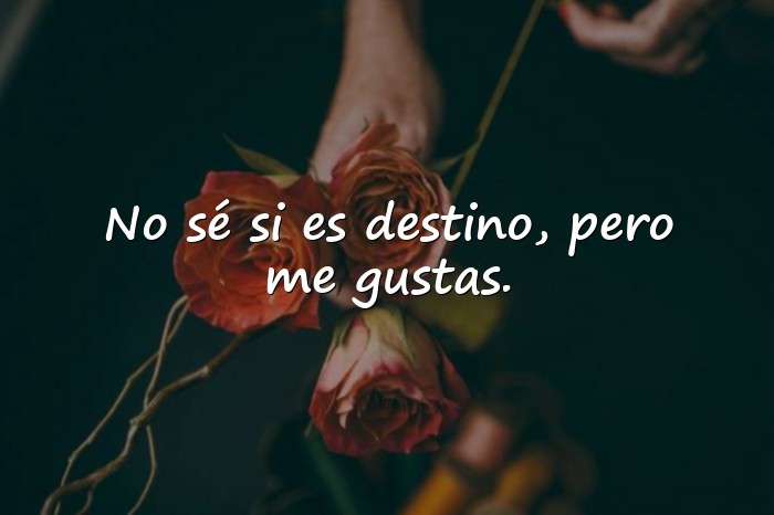 Imágenes frases seductoras - 15