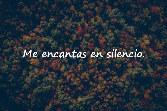 Imágenes frases seductoras - 10