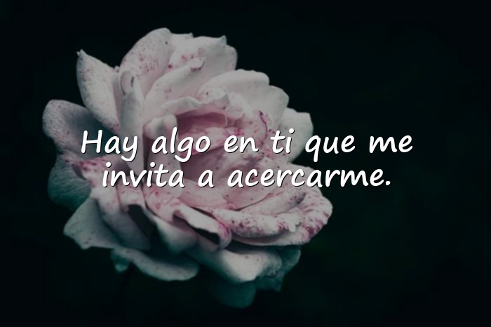 Imágenes frases seductoras - 5