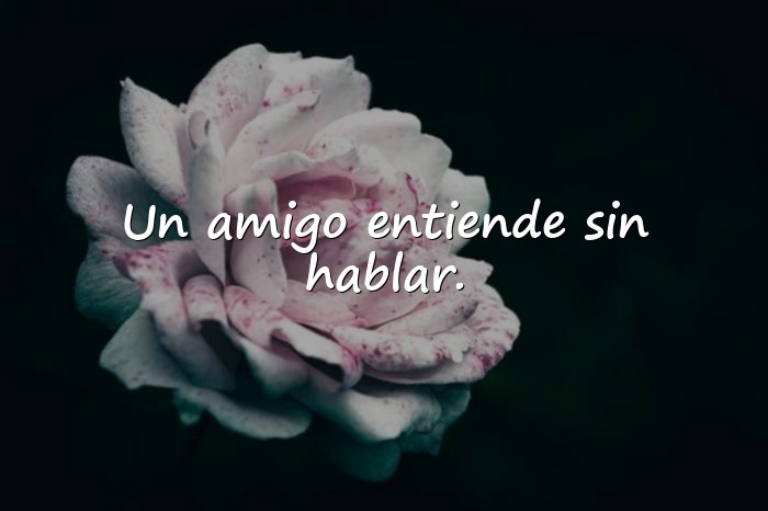 Imágenes frases sobre amistad - 14
