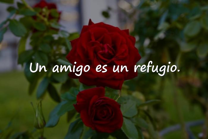Imágenes frases sobre amistad - 9