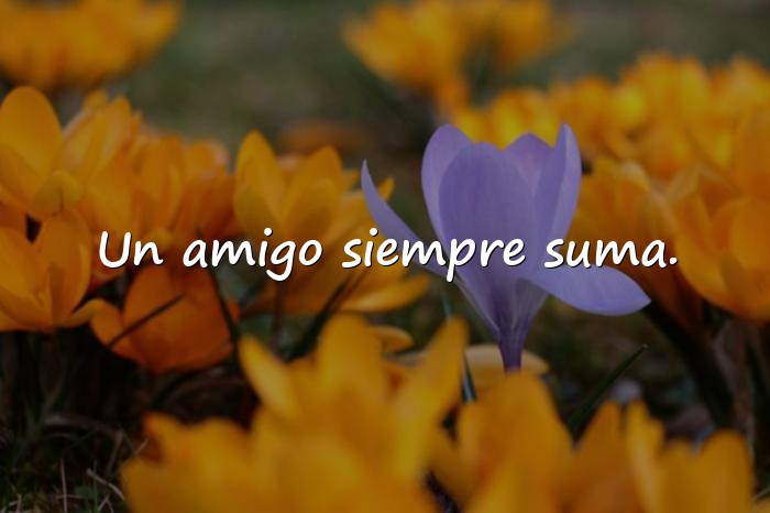 Imágenes frases sobre amistad - 24