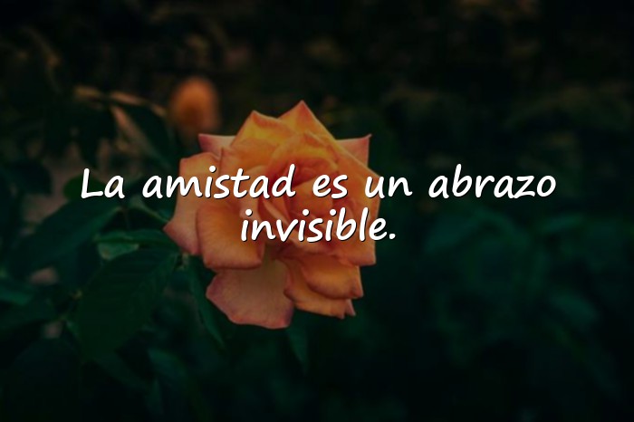 Imágenes frases sobre amistad - 16