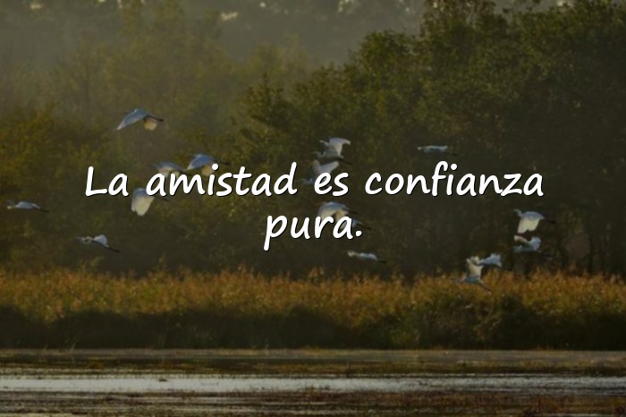 Imágenes frases sobre amistad - 11