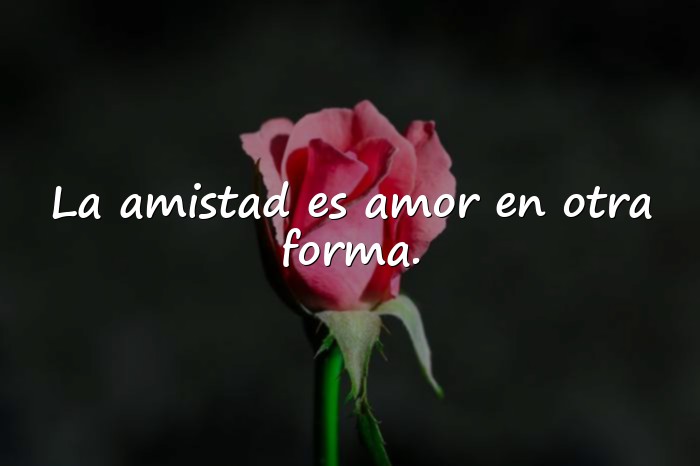 Imágenes frases sobre amistad - 1