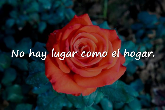 Imágenes frases sobre la familia - 12
