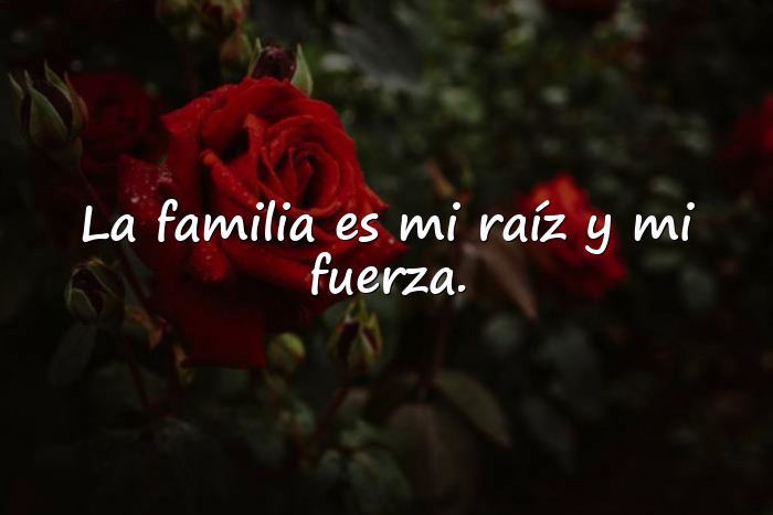 Imágenes frases sobre la familia - 7