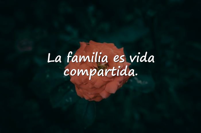 Imágenes frases sobre la familia - 22
