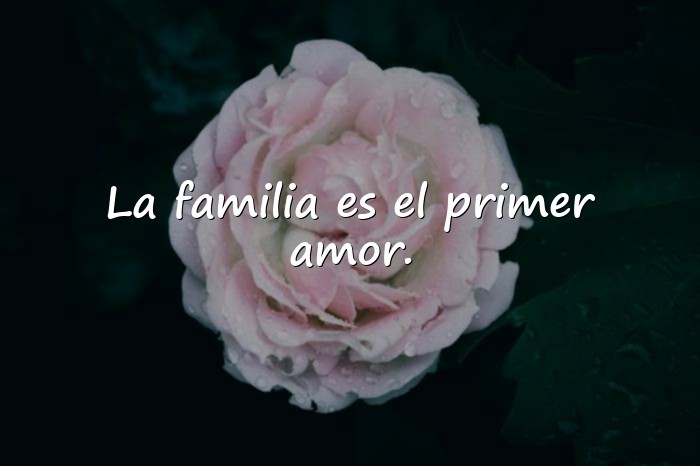 Imágenes frases sobre la familia - 9