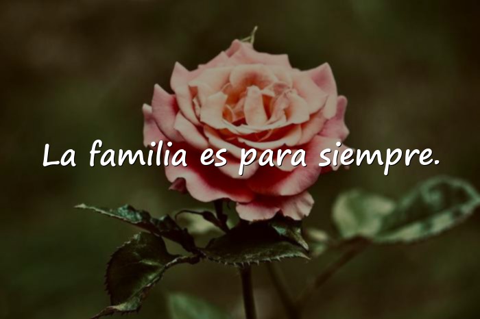 Imágenes frases sobre la familia - 1
