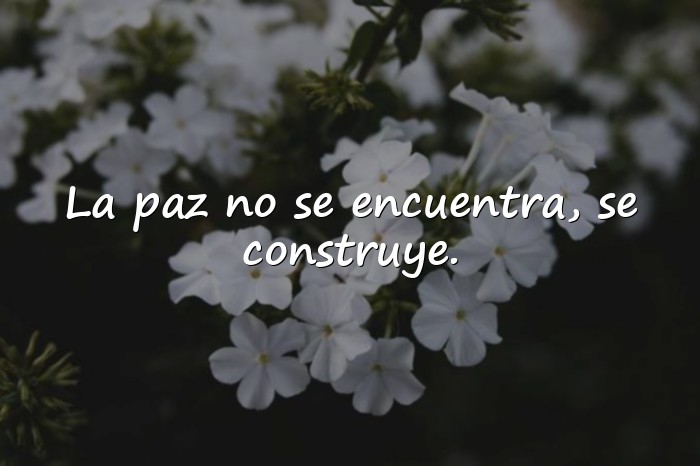Imágenes frases sobre la paz - 11