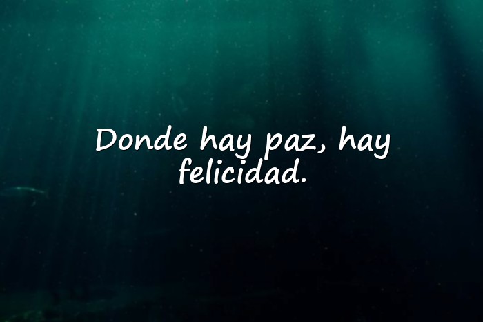 Imágenes frases sobre la paz - 23