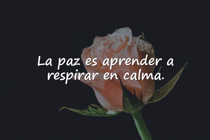 Imágenes frases sobre la paz - 20