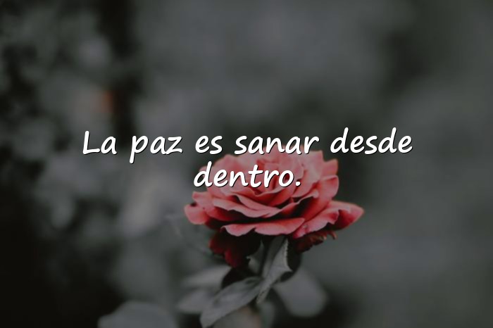 Imágenes frases sobre la paz - 15
