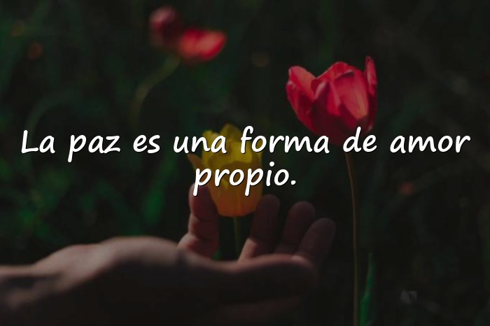 Imágenes frases sobre la paz - 11