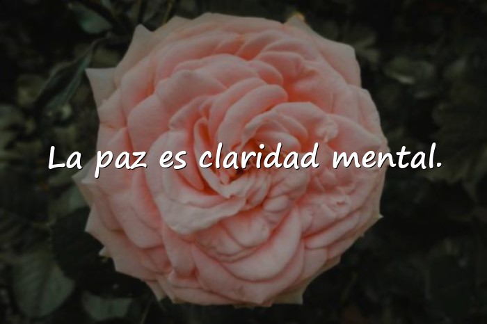 Imágenes frases sobre la paz - 8