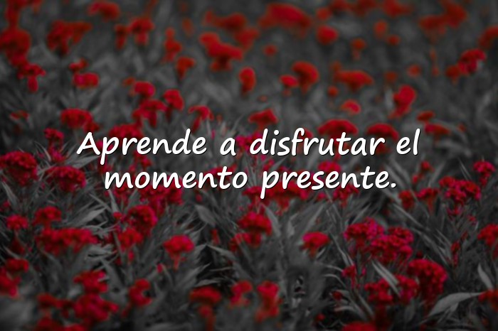 Imágenes frases sobre la vida - 9