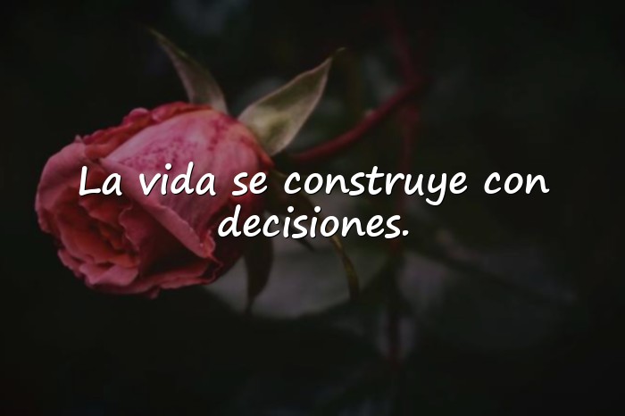 Imágenes frases sobre la vida - 5