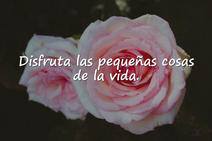 Imágenes frases sobre la vida - 2