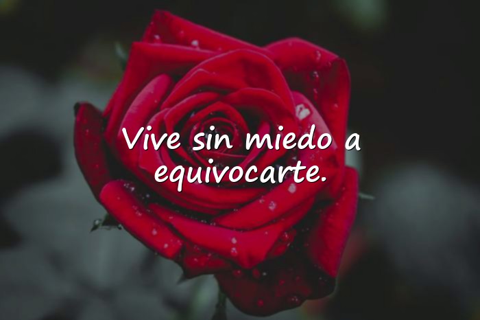 Imágenes frases sobre la vida - 19
