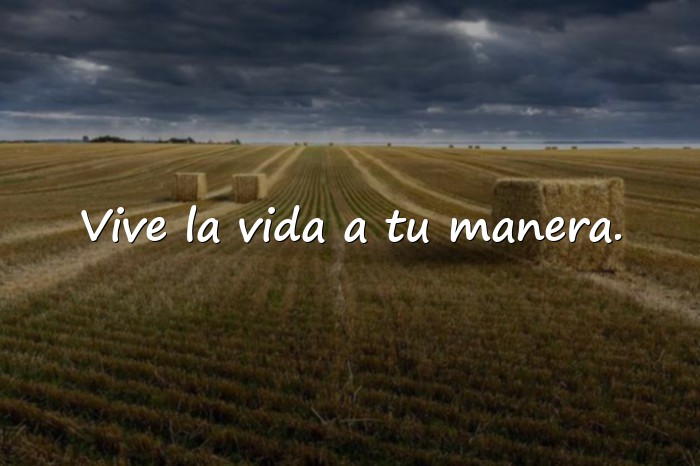 Imágenes frases sobre la vida - 13