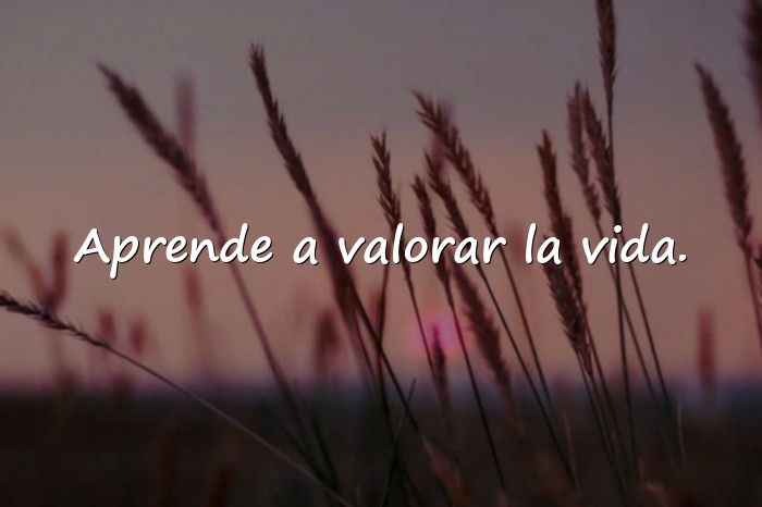 Imágenes frases sobre la vida - 8