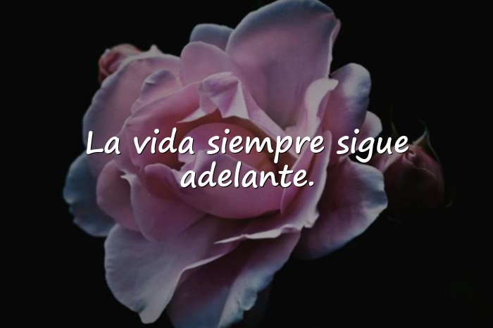 Imágenes frases sobre la vida - 4
