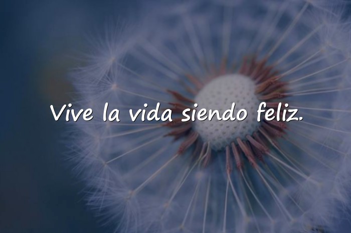 Imágenes frases sobre la vida - 1