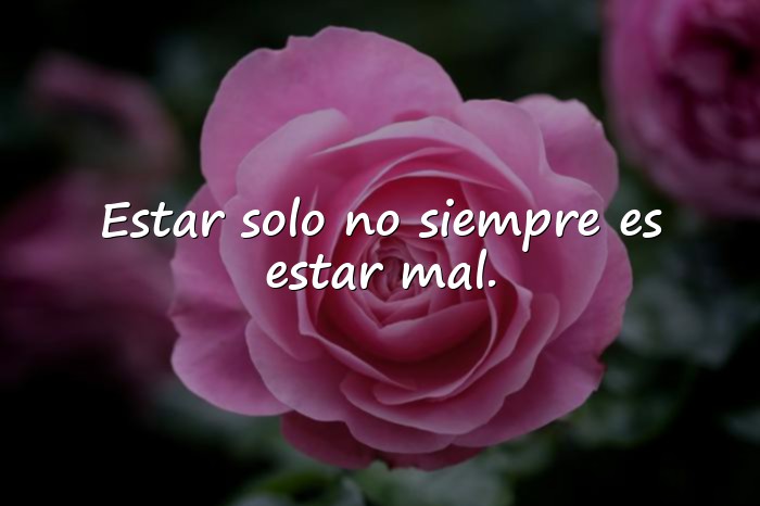 Imágenes frases soledad - 20