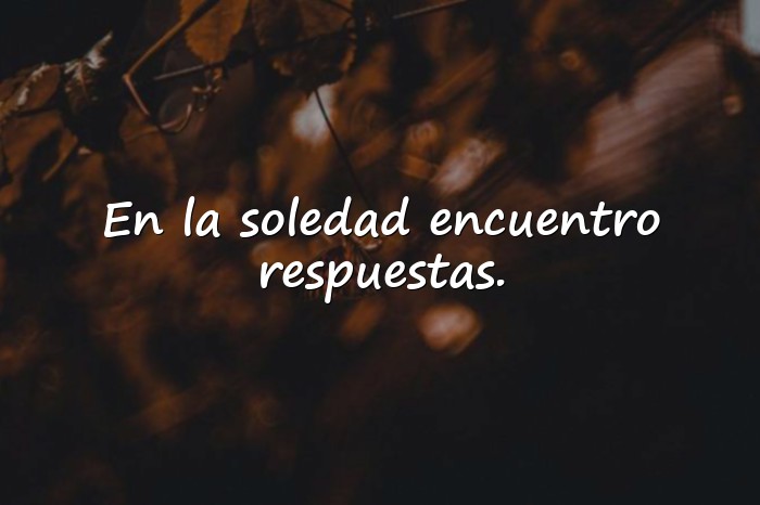Imágenes frases soledad - 15