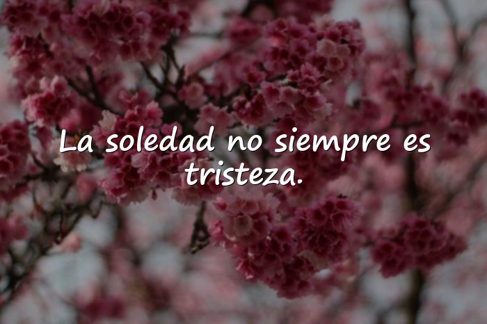 Imágenes frases soledad - 25