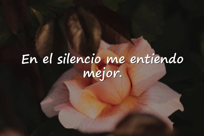 Imágenes frases soledad - 20
