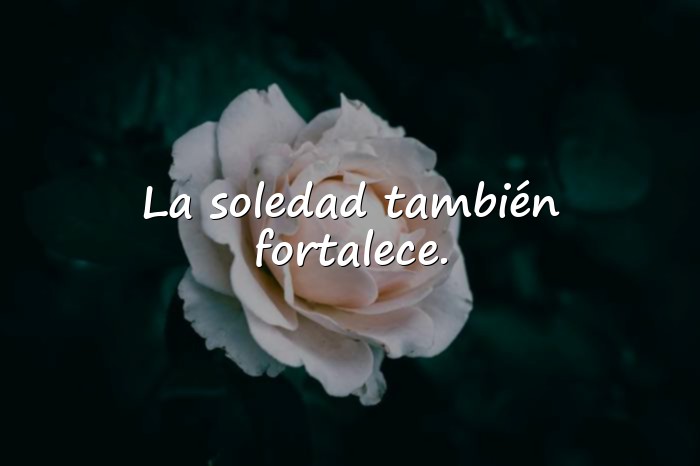 Imágenes frases soledad - 15