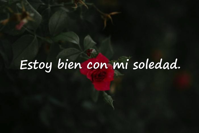 Imágenes frases soledad - 6