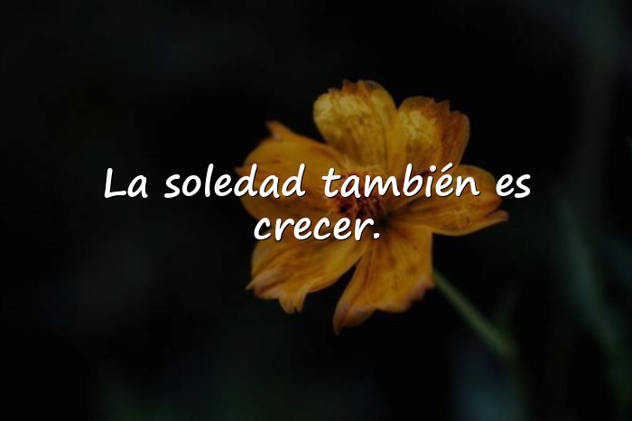 Imágenes frases soledad - 1