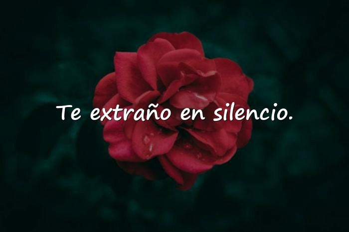 Imágenes frases te extraño - 19