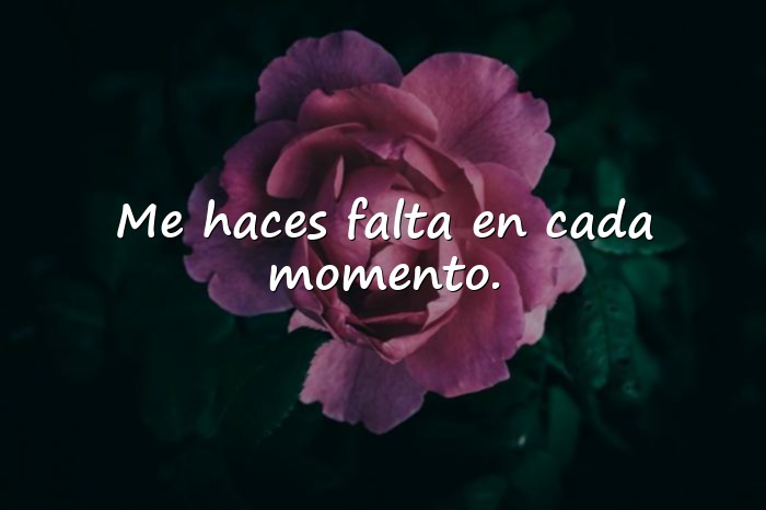 Imágenes frases te extraño - 14